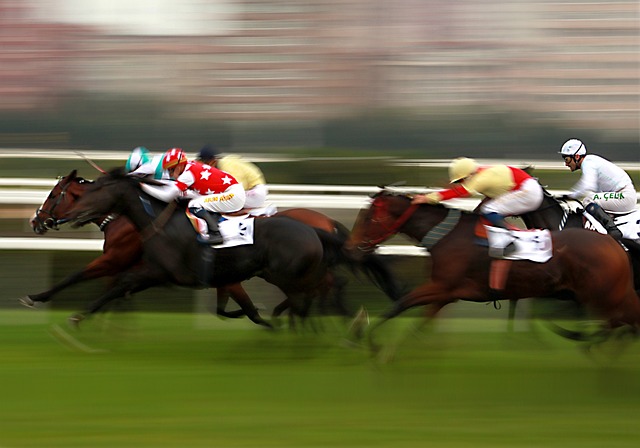 Betting on the Kentucky Derby